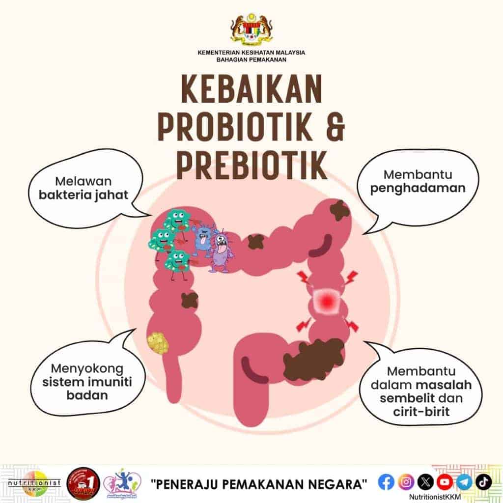 Gentillesse, type, impression et temps les meilleurs probiotiques prennent